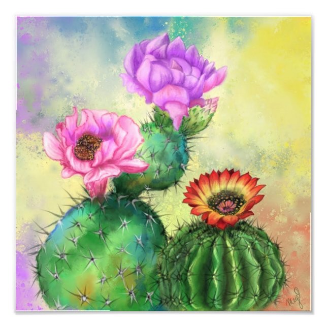Kaktusblüten Poster (Vorne)