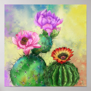 Kaktusblüten Poster Druck