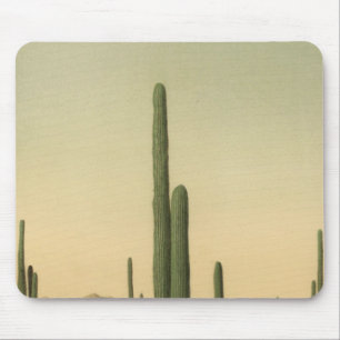Kaktushain, Arizona Mousepad