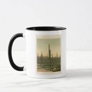 Kaktushain, Arizona Tasse
