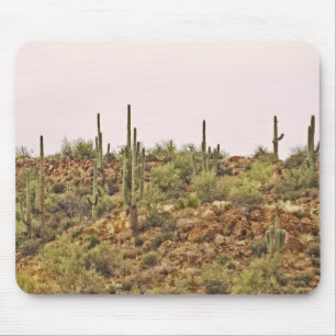 Kaktuslandschaft Arizona Mousepad