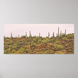 Kaktuslandschaft Arizona Poster