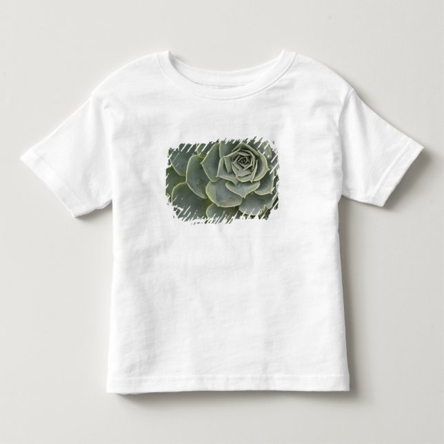 Kaktusmuster Kleinkind T-shirt (Vorderseite)