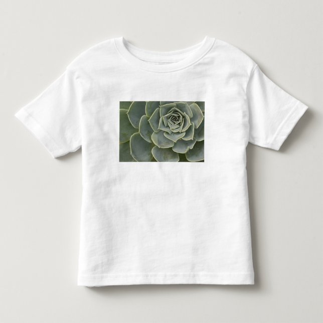 Kaktusmuster Kleinkind T-shirt (Vorderseite)