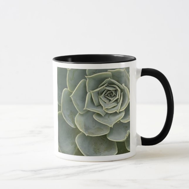 Kaktusmuster Tasse (Rechts)