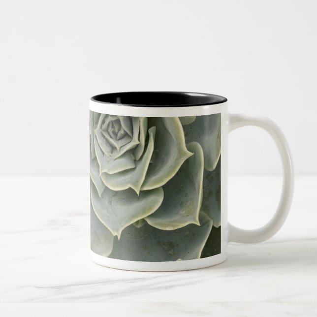 Kaktusmuster Zweifarbige Tasse (Rechts)