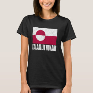 Kalaallit Nunaat Flag Grunge Vintage Souvenir Grün T-Shirt