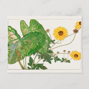 Kaladium mit extravaganter Blätter, Coreopsis von Postkarte