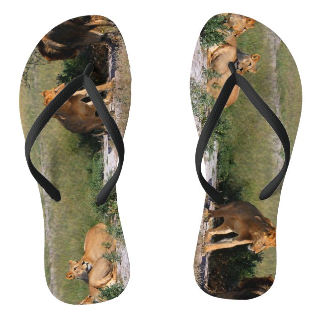 Kalahari Desert Lions Flip Flops (Fußbett)
