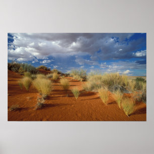 Kalahari Desert Scene, Kgalagadi Transborder 2 Poster