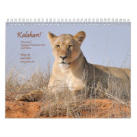 Kalahari! Kalender-Säugetiere von Kgalagadi