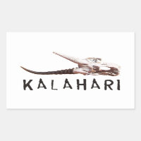 Kalahari-Wüste in Afrika: Toter Antilopenschädel