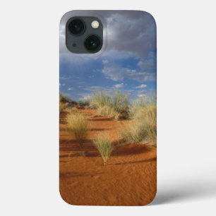 Kalahari-Wüsten-Szene, Kgalagadi Transfrontier 2 Case-Mate iPhone Hülle