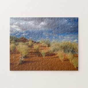 Kalahari-Wüsten-Szene, Kgalagadi Transfrontier 2 Puzzle