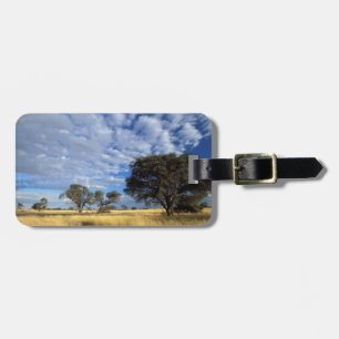 Kalahari Wüstenlandschaft, Kgalagadi Transborder Gepäckanhänger