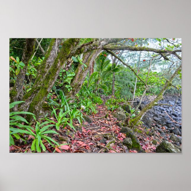 Kalalau-Pfad, Napalische Küste, Kauai, Hawaii Poster (Vorne)