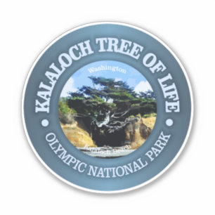 Kalaloch-Baum Aufkleber