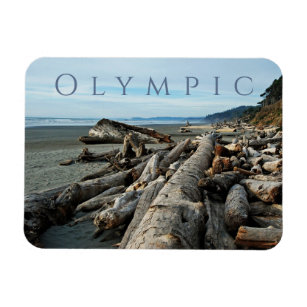 Kalaloch Beach Driftwood, Olympischer Nationalpark Magnet