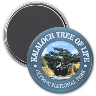 Kalaloch Tree of Life Magnet
