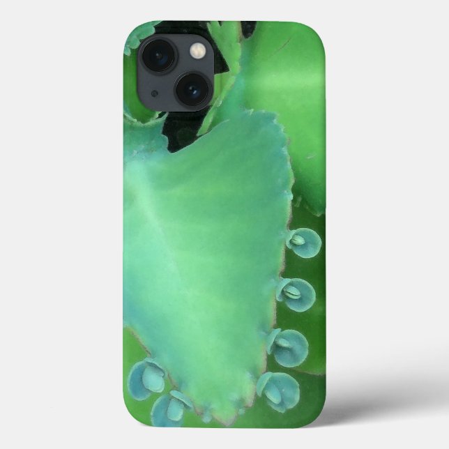 Kalanchoe Case-Mate iPhone Hülle (Rückseite)