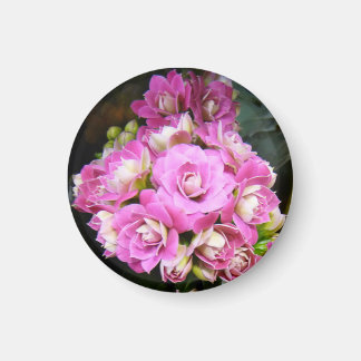 "Kalanchoe" Magnet