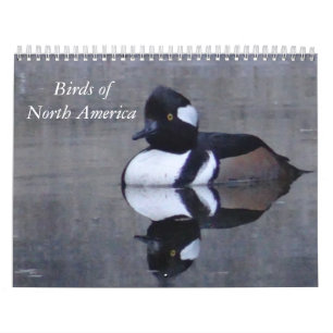 Kalandarzeitvögel in Nordamerika Kalender