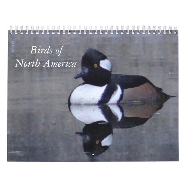 Kalandarzeitvögel in Nordamerika Kalender (Titelbild)
