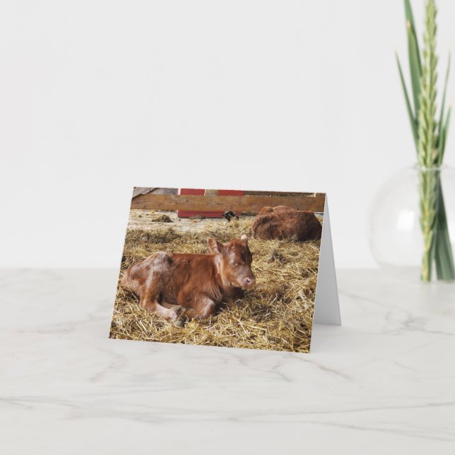 Kalb Dankeskarte (Vorderseite)