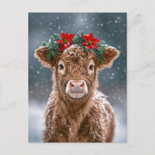 Kalb im Schnee mit Weihnachtssternkranz Postkarte