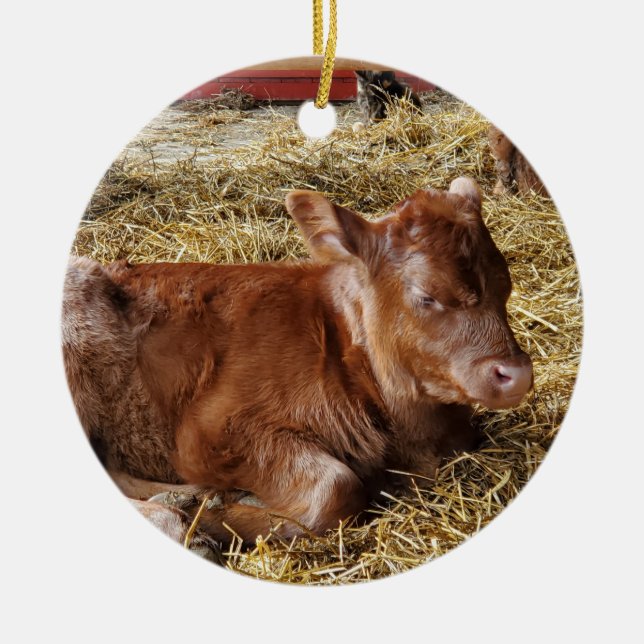 Kalb Keramik Ornament (Vorne)