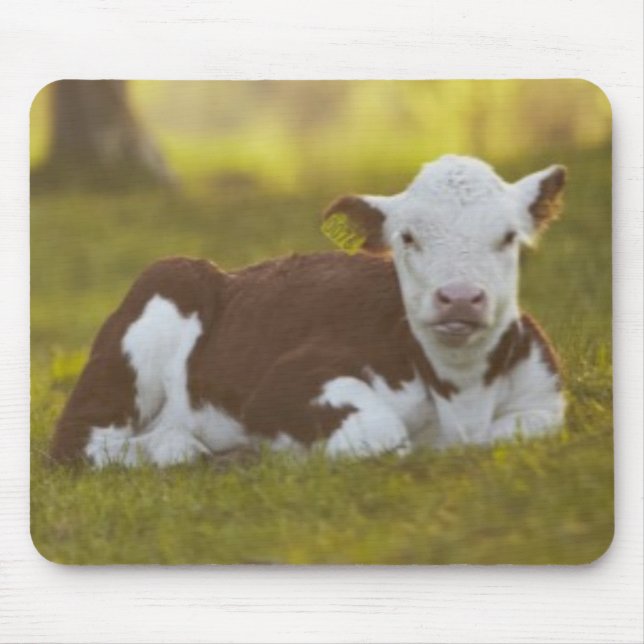 Kalb-Stillstehen Mousepad (Vorne)