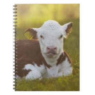 Kalb-Stillstehen Notizblock
