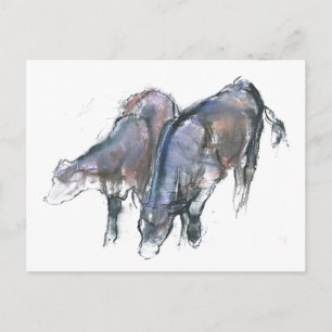 Kälber 2006 postkarte