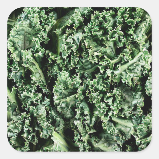 Kale Quadratischer Aufkleber (Vorderseite)