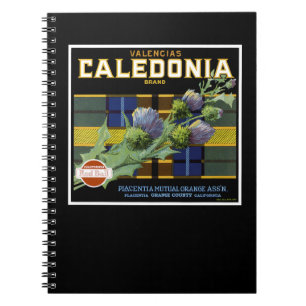 Kaledonia Orange Label Notizblock