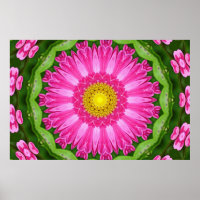 Kaleidoskop Aster