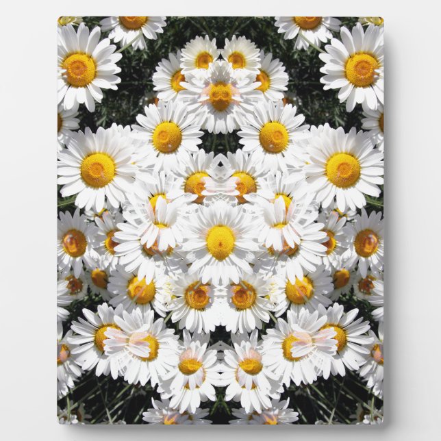 Kaleidoskop-Gänseblümchen-Muster Fotoplatte (Vorderseite)