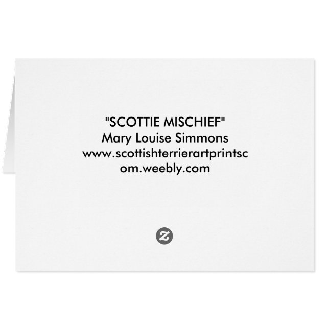 KALEIDOSKOP-SCOTTES (Rückseite Horizontal)