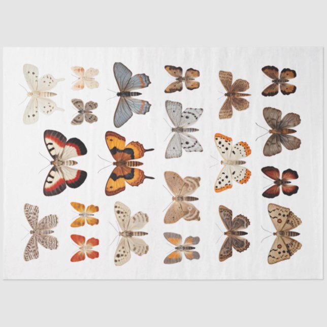 Kaleidoskop von Motten 1 Dekoupage Seidenpapier (Vorderseite)