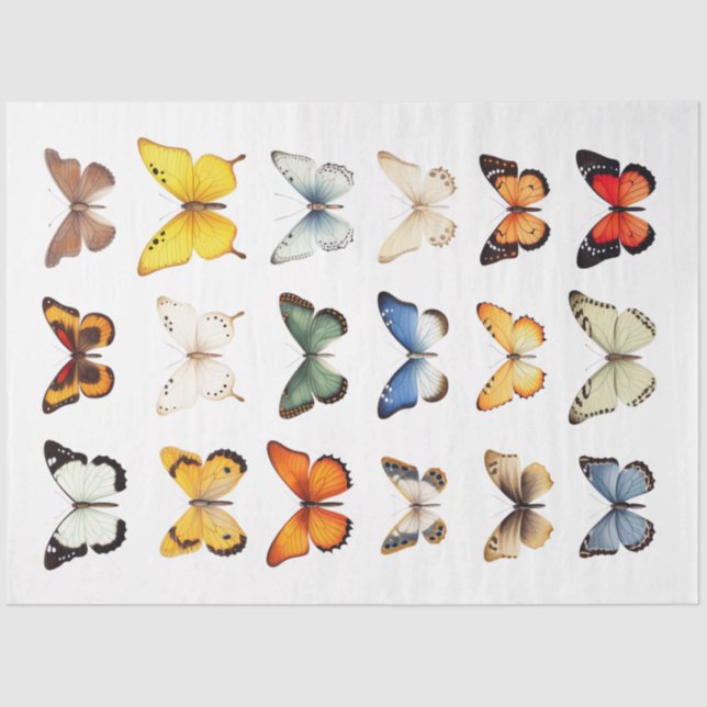 Kaleidoskop von Schmetterlingen 1 Dekoupage Papier (Vorderseite)