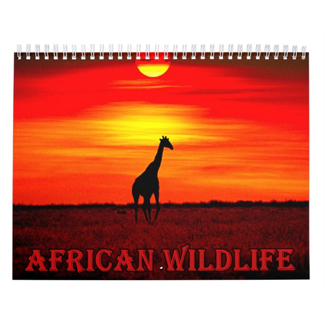 Kalendar afrikanische Wildtiere Kalender (Titelbild)