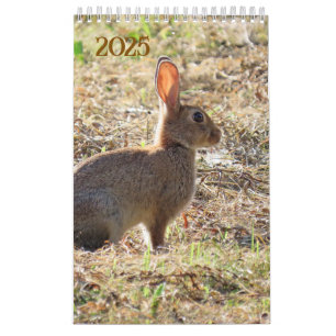 KALENDER