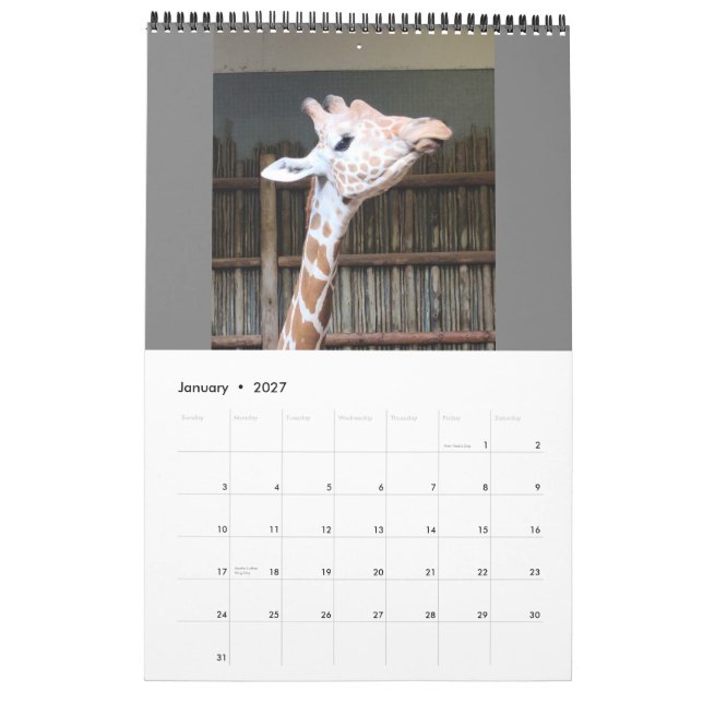 Kalender (Jan 2027)