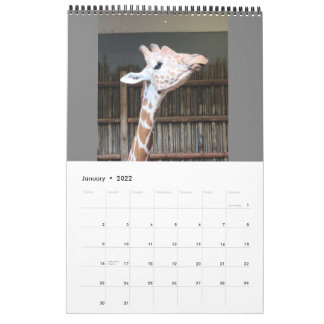 Kalender