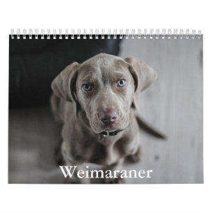  KALENDER