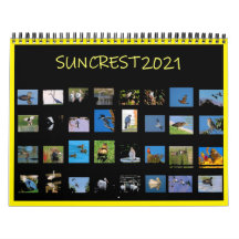 Kalender