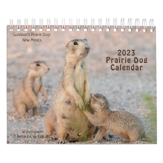 KALENDER (Titelbild)