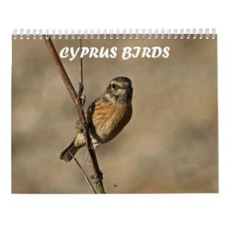 Kalender