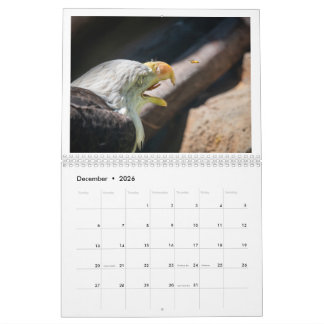 Kalender