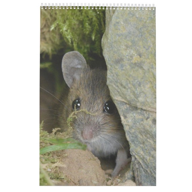 Kalender (Rückseite)